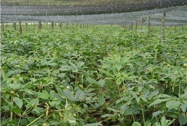 1628780167922395.jpg N))69_1}$}BY(R@{4WN4%FU.jpg