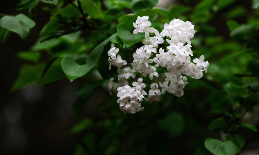 1628853392589566.jpg 1628853392589566.jpg