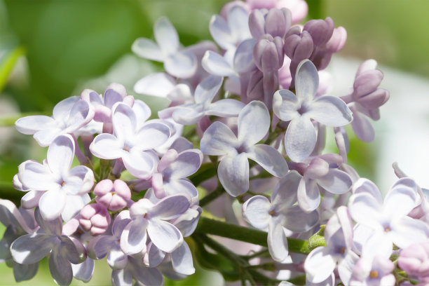 1628853441692332.jpg 8884dba355e7c92c8089110fcfbdc774_t0189df306d60711f73.jpg