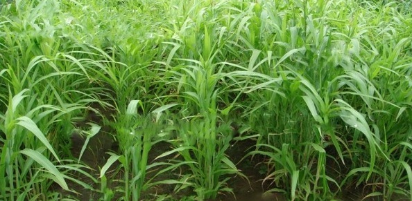 1628854213961567.jpg 1628854209(1).jpg