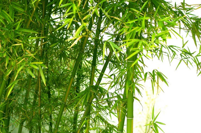 1628854978358585.jpg 1628854978358585.jpg