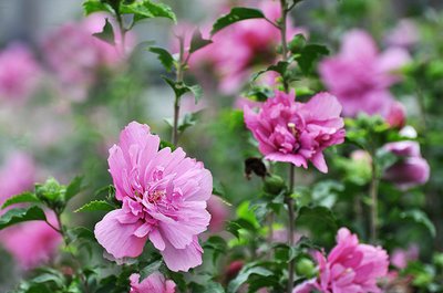 1628855193435155.jpg 1628855193435155.jpg