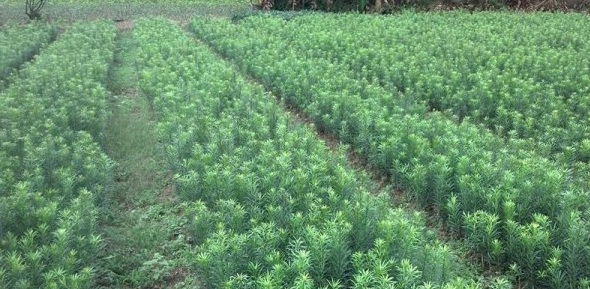 1628855794910384.jpg 1628855786(1).jpg