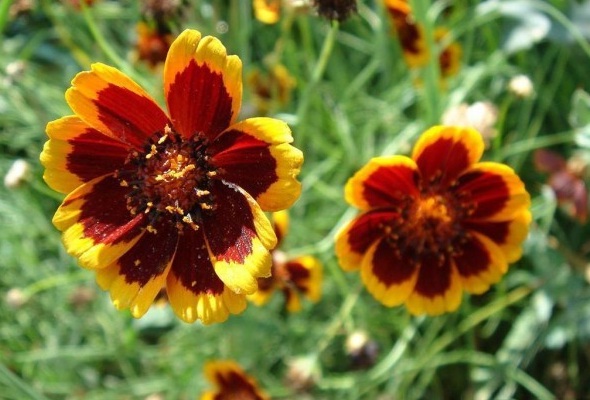 1628855950842744.jpg 1628855943(1).jpg