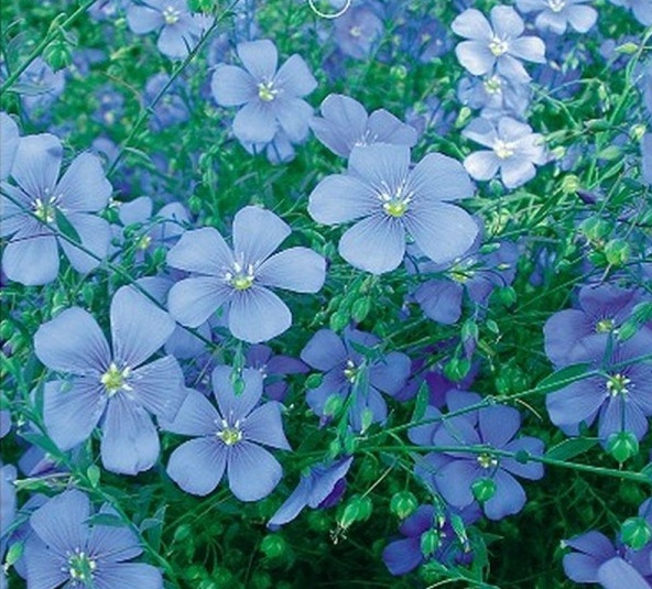 1628857000579926.jpg 1628856995(1).jpg