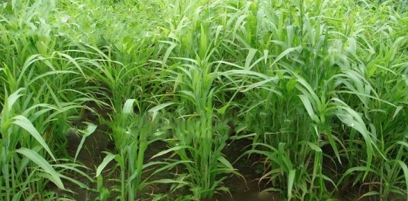 1628857641280035.jpg 1628857629(1).jpg