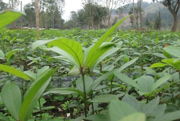 1628858575956748.jpg 1628858569(1).jpg