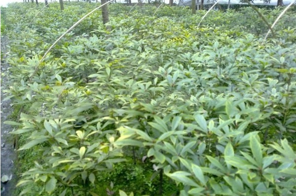 1628858591734105.jpg 1628858582(1).jpg