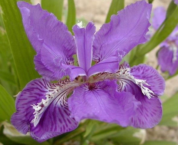 1628860809967118.jpg 1628860802(1).jpg