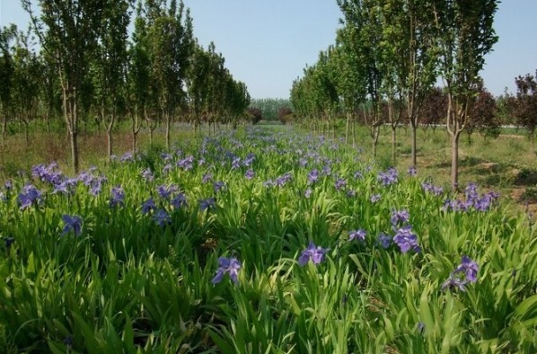 1628860849640851.jpg 1628860840(1).jpg