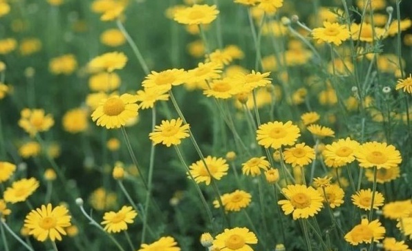 1628861723988575.jpg 1628861713(1).jpg