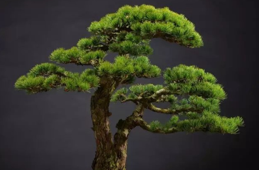 1628862206666006.jpg 1628862198(1).jpg