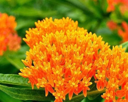 1628862605755172.jpg image.jpg