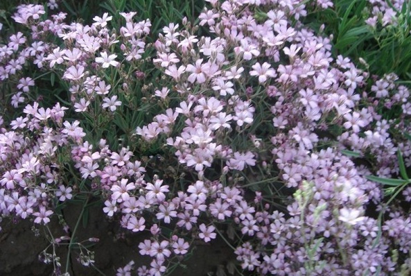 1628863630710316.jpg 1628863621(1).jpg