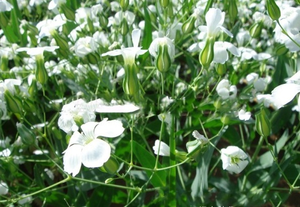 1628863647668063.jpg 1628863636(1).jpg