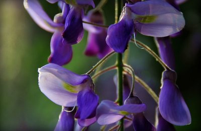 1628940436253110.jpg 1628940436253110.jpg