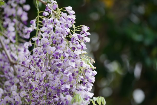 1628940456941044.jpg e8ea90c04b8f0cff3ef8fb258f0a6b56_t01fa8c77a064937308.jpg