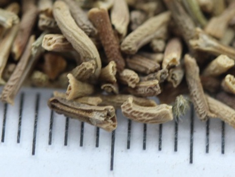 1628987111572681.jpg image.jpg