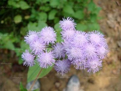 1629025931202361.jpg 1629025931202361.jpg