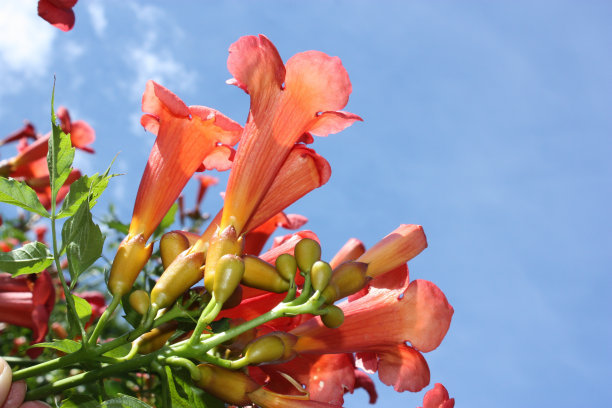 1629026500935512.jpg 1629026500935512.jpg