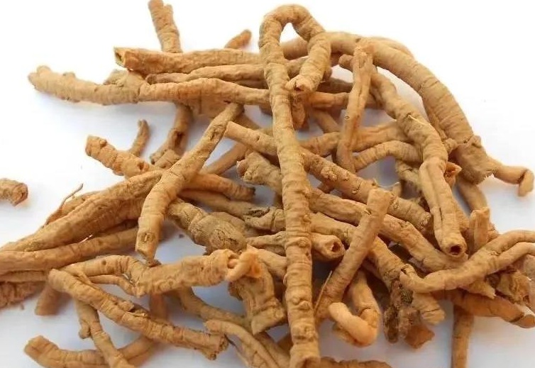 1629039134206067.jpg 遠(yuǎn)志3.jpg