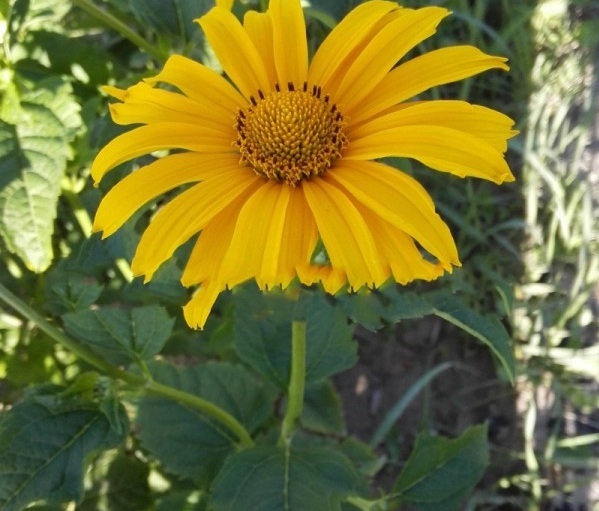 1629100248812815.jpg 1629100245(1).jpg