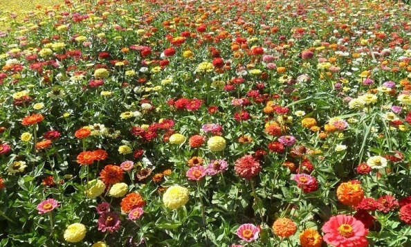 1629101590449340.jpg 1629101587(1).jpg