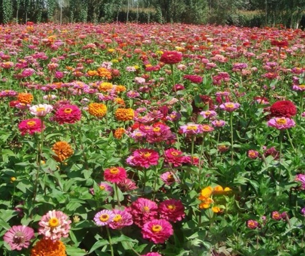 1629101607436697.jpg 1629101600(1).jpg