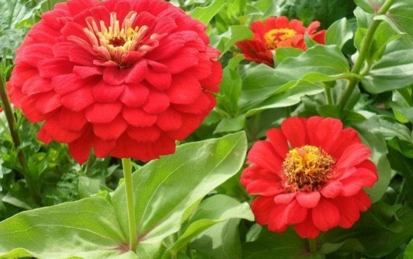 1629101625909915.jpg 1629101623(1).jpg