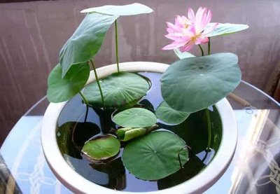 1629113972794485.jpg 1629113972794485.jpg