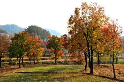 1629114315315368.jpg 1629114315315368.jpg