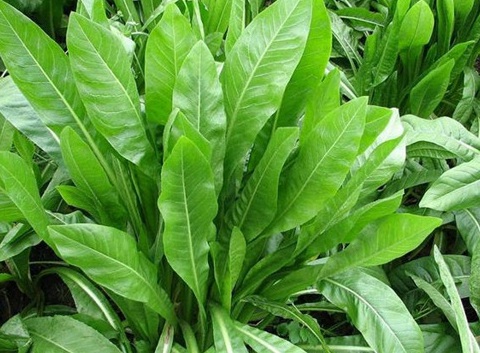 1629122255181504.jpg image.jpg