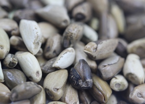 1629122988769295.jpg image.jpg