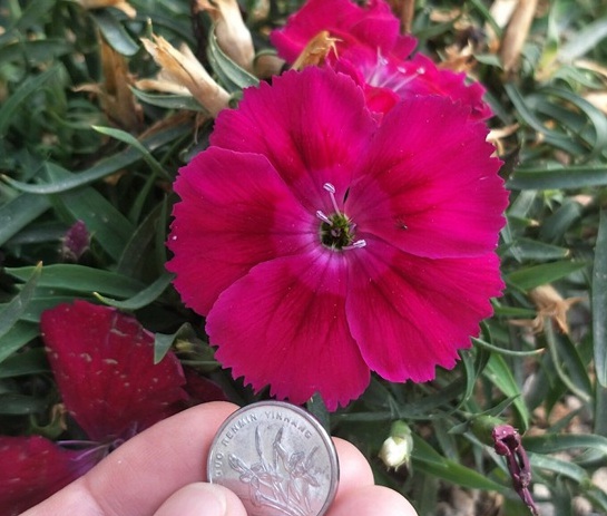 1629124200381118.jpg image.jpg