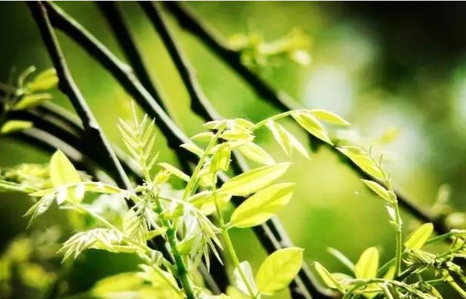 1629190665280570.jpg 1629190662(1).jpg