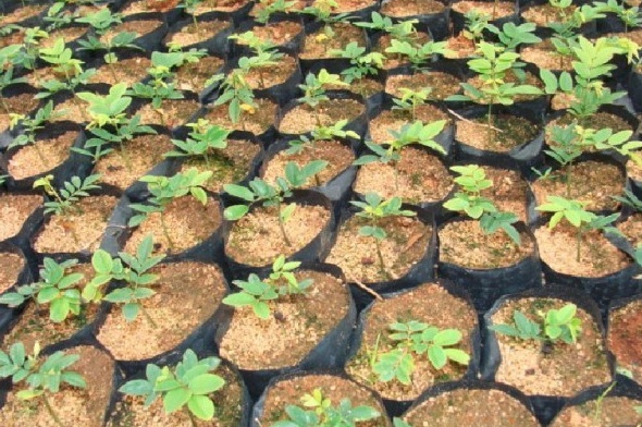 1629191733107694.jpg 1629191730.jpg