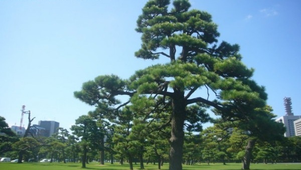 1629199438312244.jpg 1629199433(1).jpg