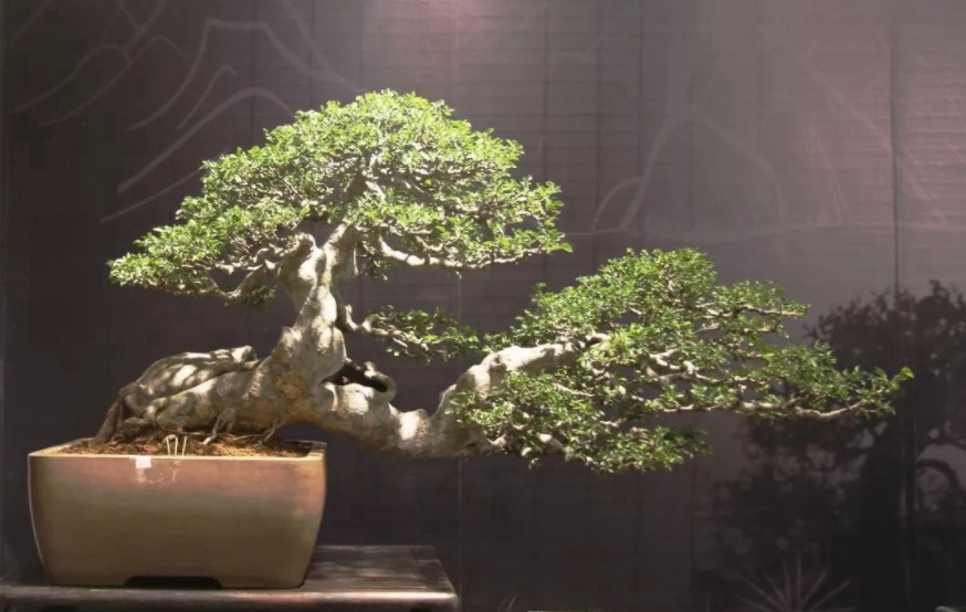 1629201550378248.jpg 1629201545(1).jpg