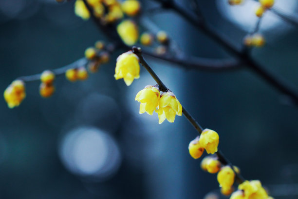 1629213706609726.jpg 1629213706609726.jpg