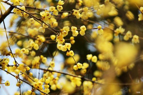 1629213706871614.jpg 1629213706871614.jpg