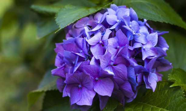 1629215321919958.jpg 1629215321919958.jpg