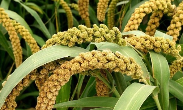 1629243090102457.jpg G8@2~@9Y0UK%[04LW4R%E)I.jpg