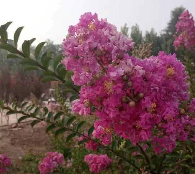 1629245519645314.jpg 3K68_V1}{TPA_(M$(3[U(%B.jpg