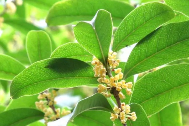 1629262514363818.jpg JWKH@89WD9I@OVEIS[20GWK.jpg