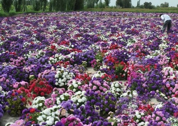 1629262716219556.jpg X$F$H_$Q[MA~W0SOV`FKF}S.jpg