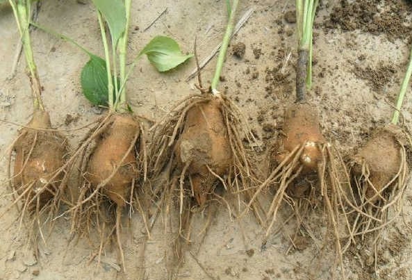 1629263807864437.jpg QH1[L}A4XQAG%Z9E3D%$L0W.jpg