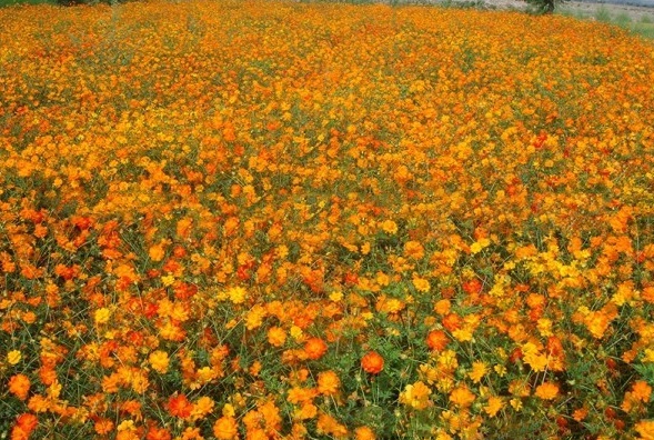 1629264219787458.jpg [H4KEHS5FBL{W5R3AQE1%~W.jpg