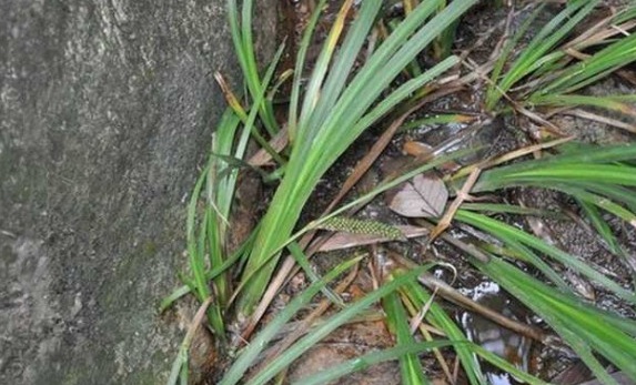 1629266727352006.jpg 3{ZM_9[@ARKEN)03SEGSWRY.jpg