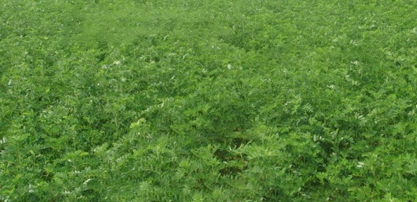 1629266858471496.jpg H[1HTN0HD`%0KTV3~N{O4`B.jpg