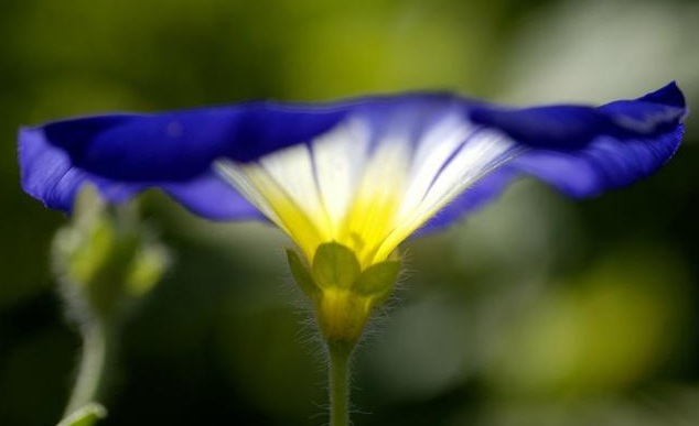 1629269112377636.jpg ~V383`0O7V753MW3BYW4A`F.jpg